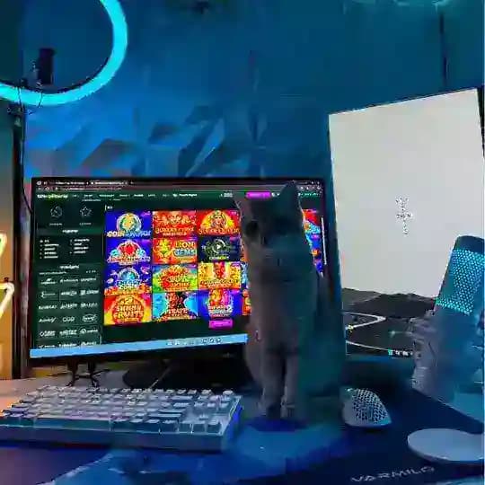 𝐗𝐋