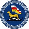 РПП "Единая Осетия"
