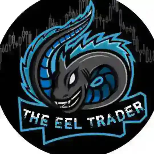 The Eel Trader Academy
