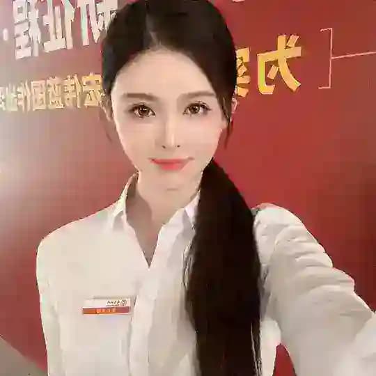 福田管儿车模175
