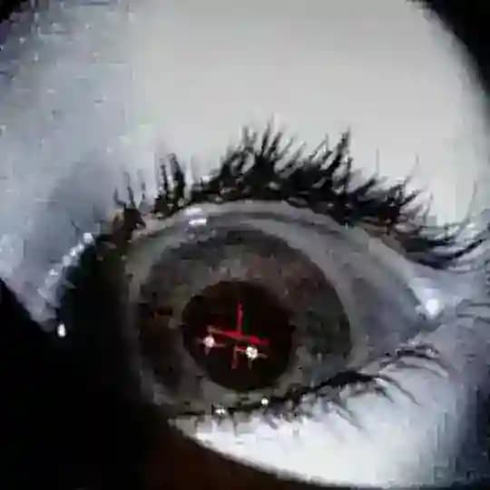 eightvein