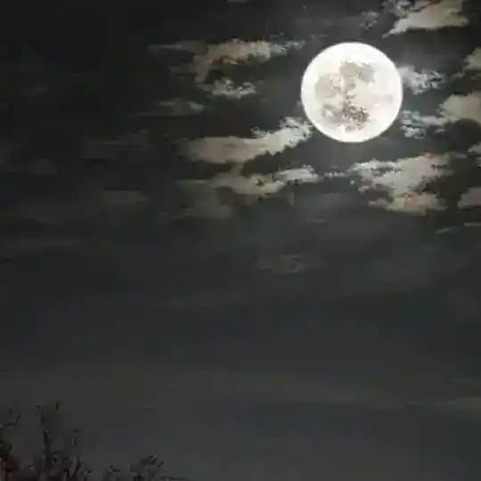 مشاريع القرآن