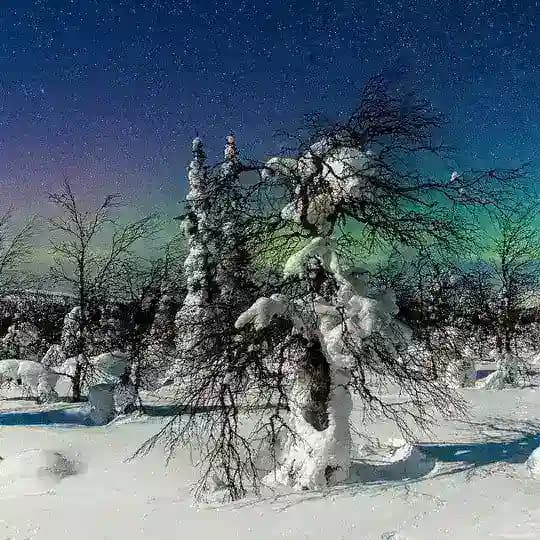 Ежъ фото