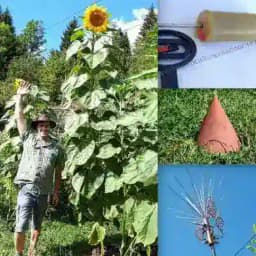 Electroculture farming & gardening Profile