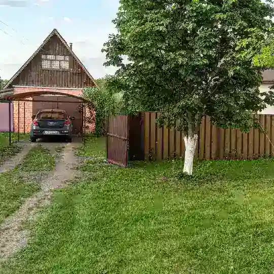 В гости к Майку