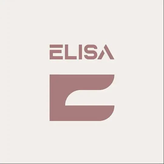 Elisa vpn -‌ فیلترشکن الیسا