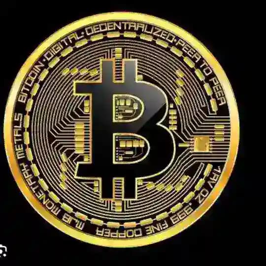 Bitcoin investment community