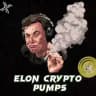 🚀ElonPumps | Solana Pumps