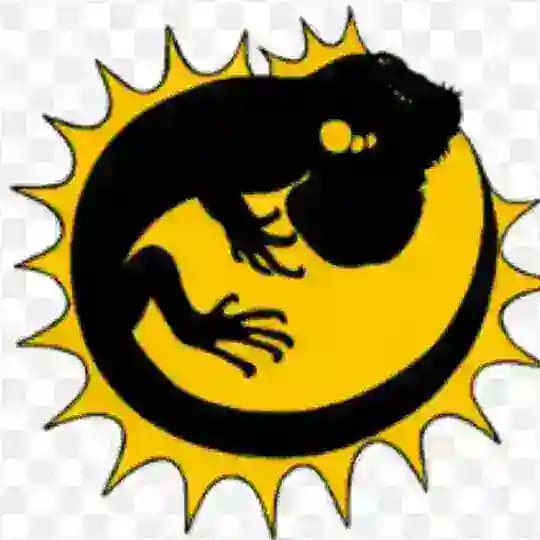 EL TIO REPTILIANO CANAL