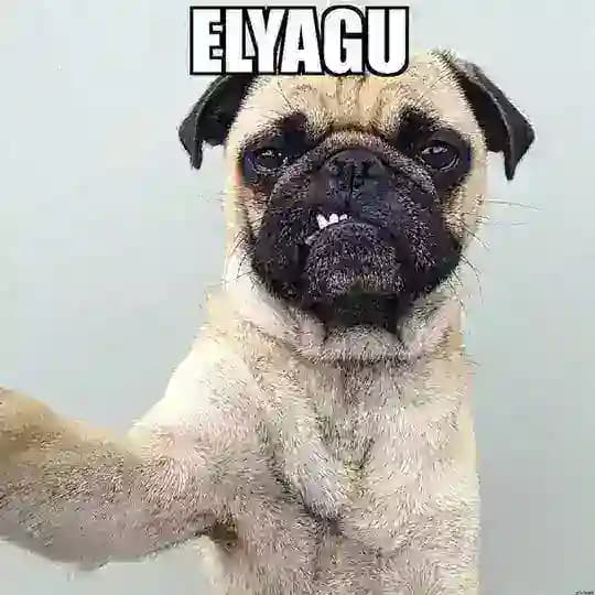 Elyagu