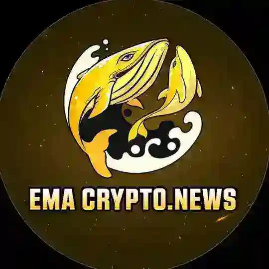 Ema Insights