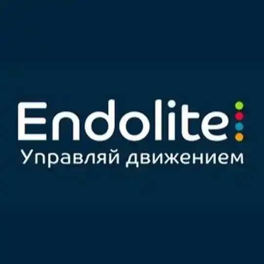 Endolite: современные протезы рук и ног