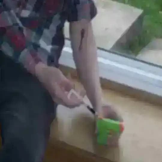 толстыесобачки