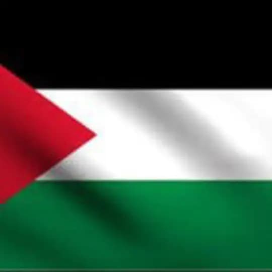 English Language Profile