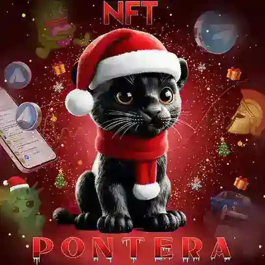 PONTERA |NFT