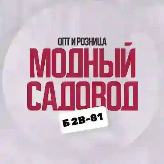 Мᴏдный Сᴀдᴏʙᴏд Б 2В-81