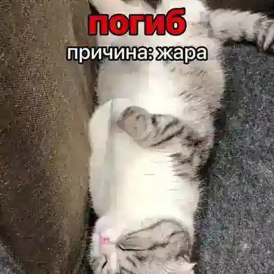 Канал Еркоши