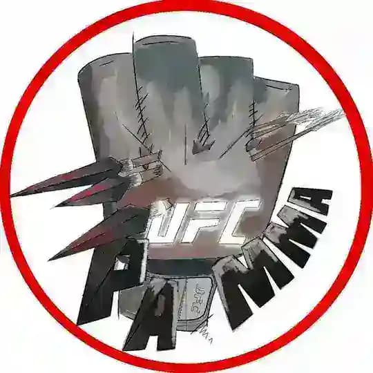 Мир MMA