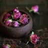 گروه حدیث اريا