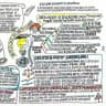 AUTODETERMINAZIONE è CONOSCENZA