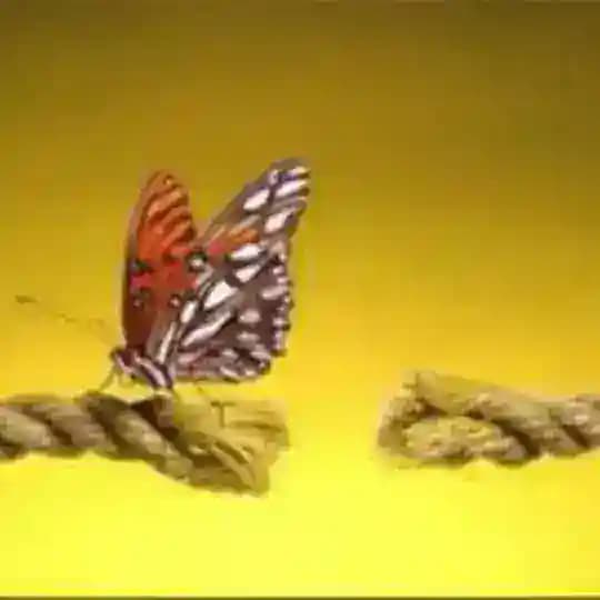 دوره ی جذب خواسته ها با تارهای اتری