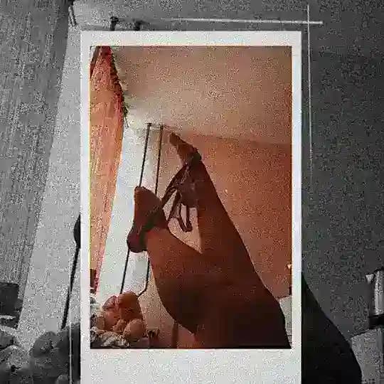 Habesha shuger agenagn Profile