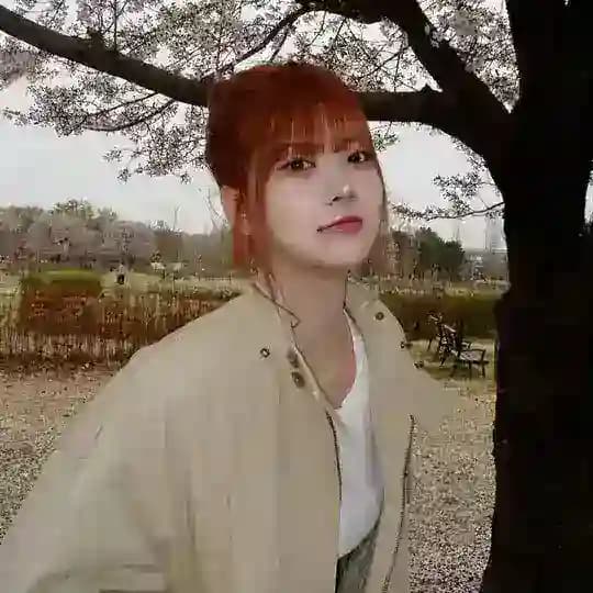 eun arch