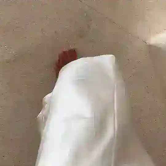 Eva🐒