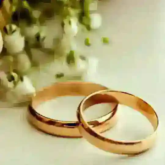 ازدواج دو همدم