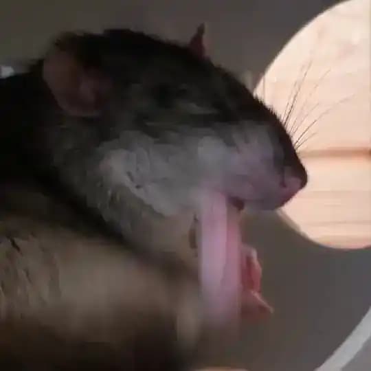 Ежанутый ужик