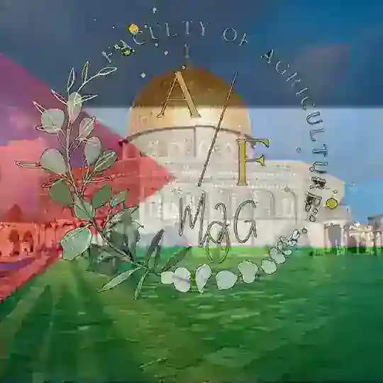 زراعة فرقة اولي
