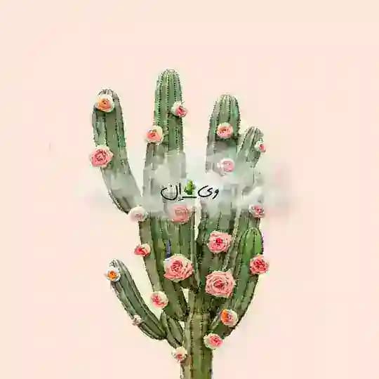وی | اِن 🕊