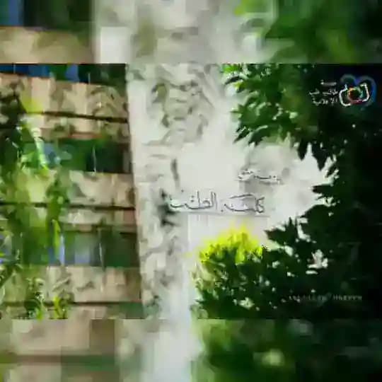 الطب البشري - جامعة دمشق