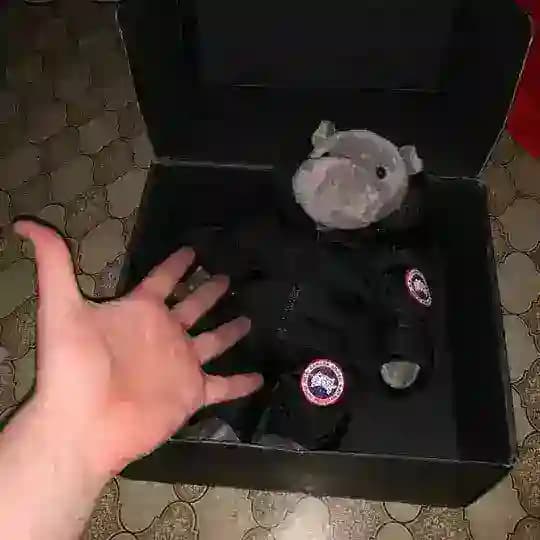 Дневник Бога