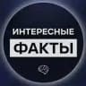 Интересные Факты