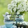 فال یوکابد مسیحیان