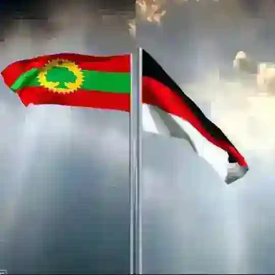 Faana Sinbiraa