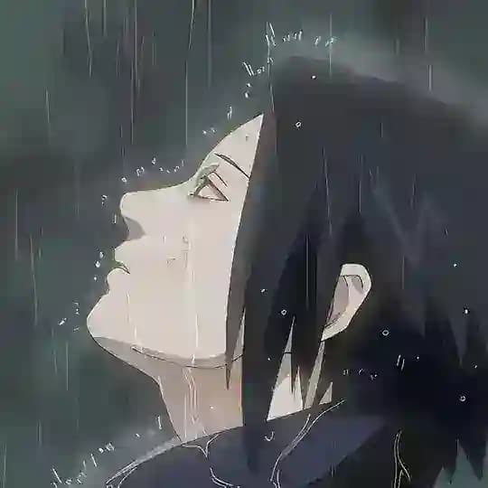 fannzphyrprst_