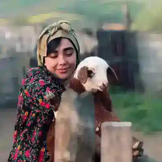 کانال فاطمه عطایی مشکات
