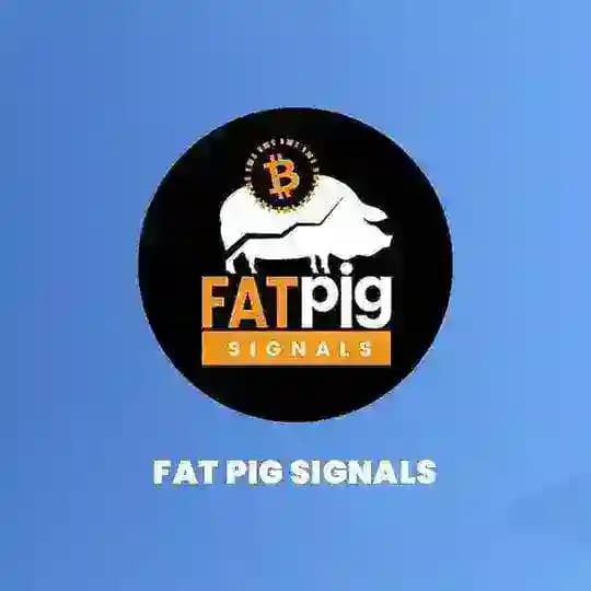 Binance signals Fat Pig Signals™ ]