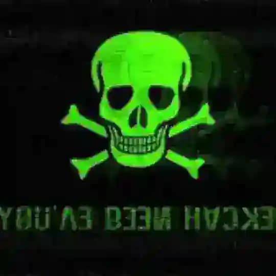 Dark web hacker data resources x Profile