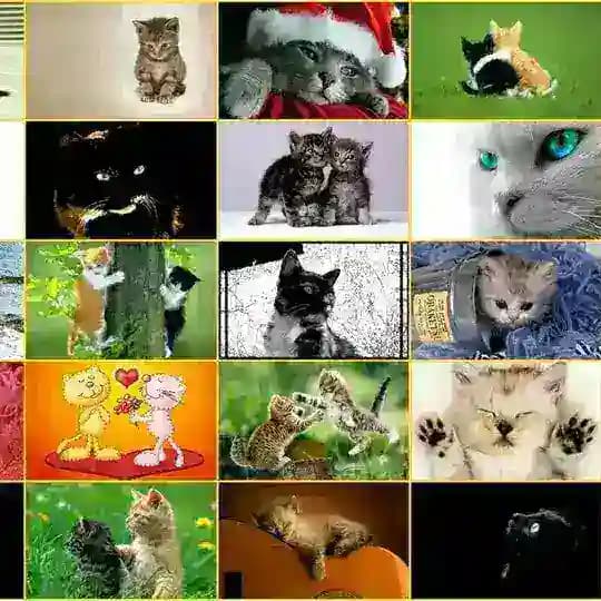 Fond d'écran PC 4K Profile