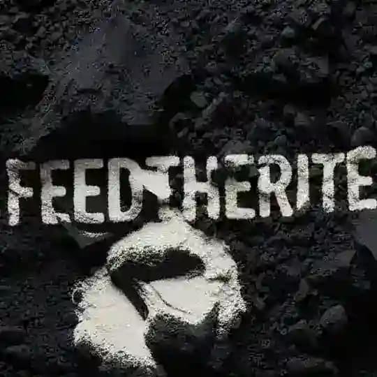 FΞΞDTHΞRITΞ / INVOСΛTΙΟΝ.log (18+)