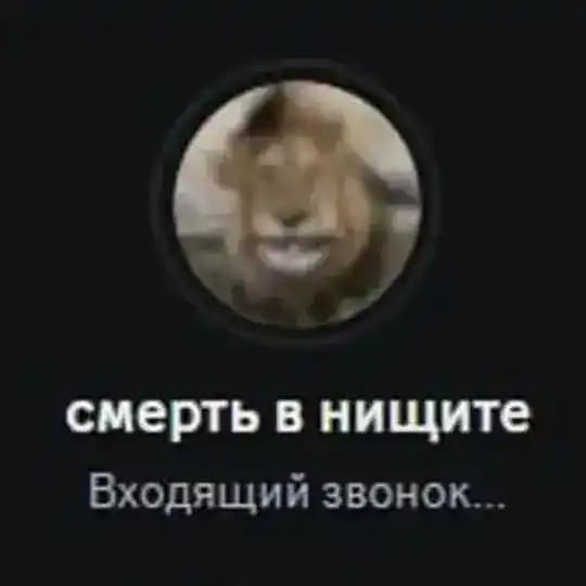 feereas и смерть в нищите