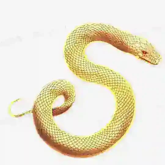 【中蛇】协议球⚽️皇冠赛事内幕🐍蛇货一手资源