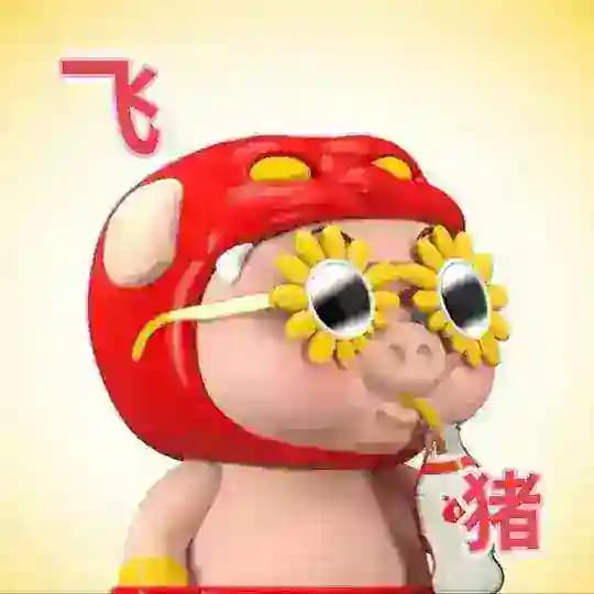 飞猪cn