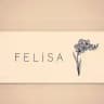 Toptan felisa