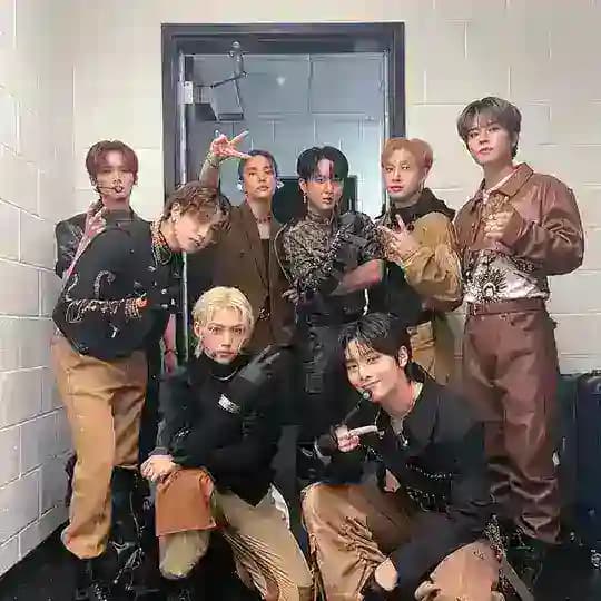 💭🐨 Stray kids bubble 🫧♡ Profile