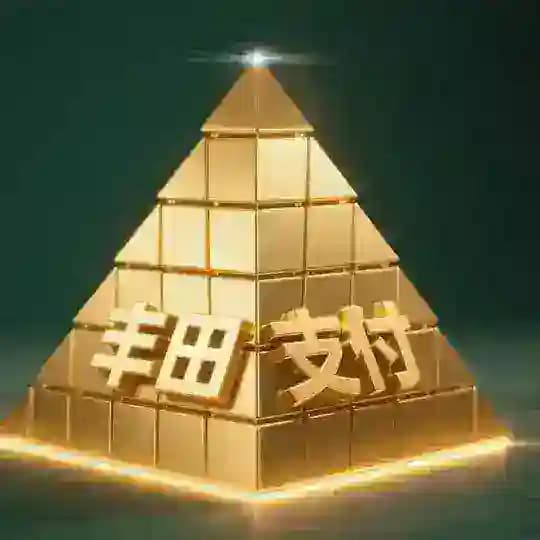 丰田支付供需🎉