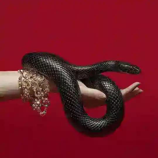 Bløg Anacøndâ.